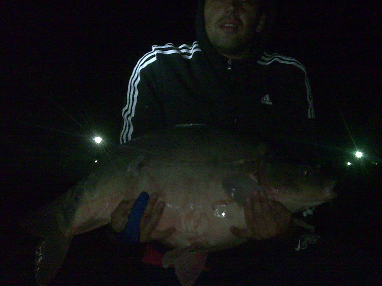 mv2 - Imagine0830.jpg